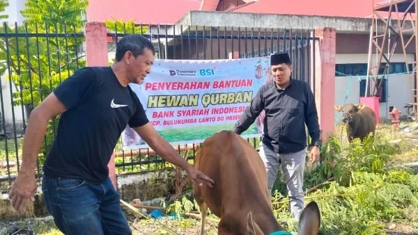 RSUD H. Andi Sulthan Dg Radja Bulukumba melaksanakan penyembelihan hewan kurban sebagai wujud kepedulian sosial dan solidaritas terhadap sesama. (Dok: Ist)