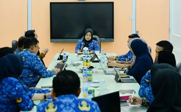 Wakil Gubernur Sulawesi Selatan, Fatmawati Rusdi pada Rapat Koordinasi Program Penerima Bantuan Iuran Jaminan Kesehatan Nasional (Dok: Ist)