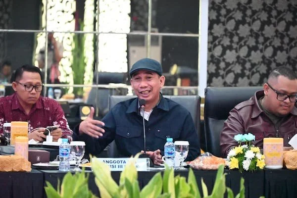 Anggota Komisi III DPR RI, Rudianto Lallo (dok. Ist)