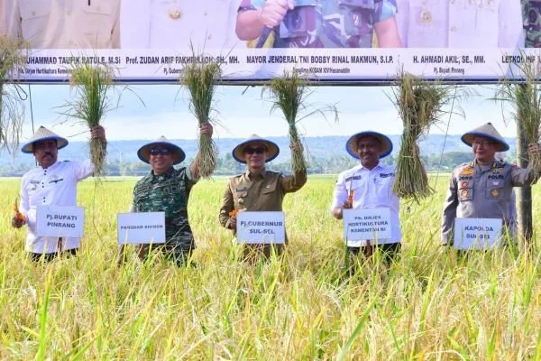 Pj Gubernur Sulsel, Prof Zudan Arif Fakrulloh saat memanen padi di Kabupaten Pinrang (Dok: Ist).