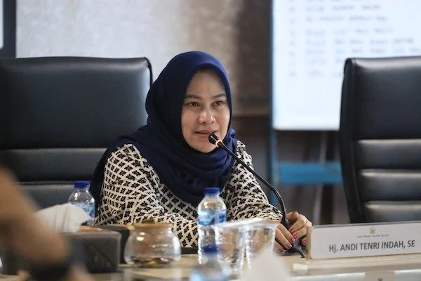 Ketua Komisi E, Andi Tenri Indah, Dok Istimewa.