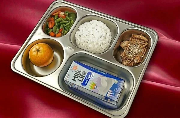 Ilustrasi Menu MBG (Dok: Ist).
