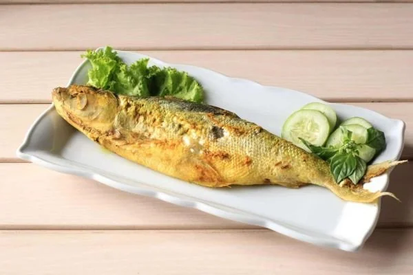 Mengonsumsi ikan bandeng mempunyai beragam manfaat kesehatan bagi tubuh (Dok: Int)