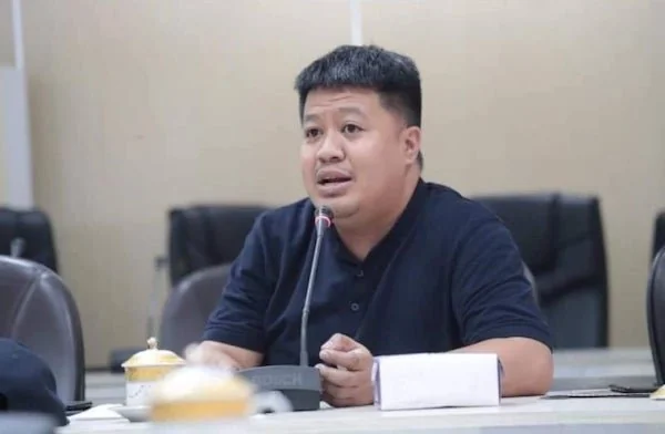 Ketua Komisi D, Ari Ashari Ilham, Dok Istimewa.
