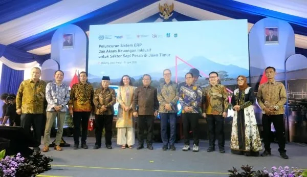 Peningkatan akses pembiayaan formal bagi peternak sapi perah lewat peluncuran Sistem Enterprise Resource Planning (Dok: Ist)