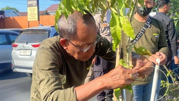 kegiatan penananamn pohon tabebuya oleh GPIB di Makassar (Dok: Atri KabarMakassar)