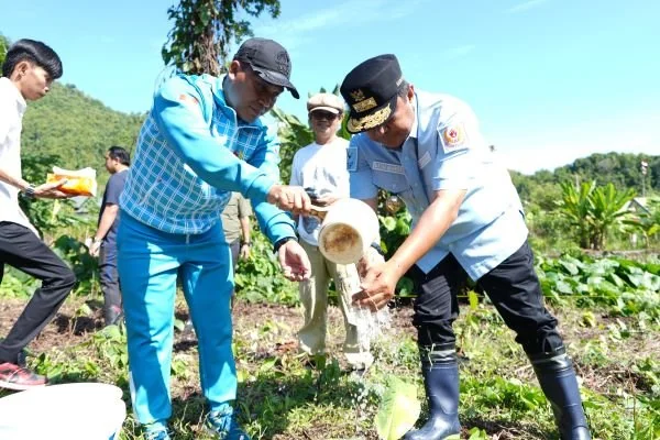 Pj Gubernur Sulbar, Bahtiar Baharuddin saat menanam sukun (Dok : Ist).