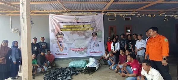 Pemprov Sulsel salurkan 141 ton bibit rumput di Luwu Raya (dok. Ist)