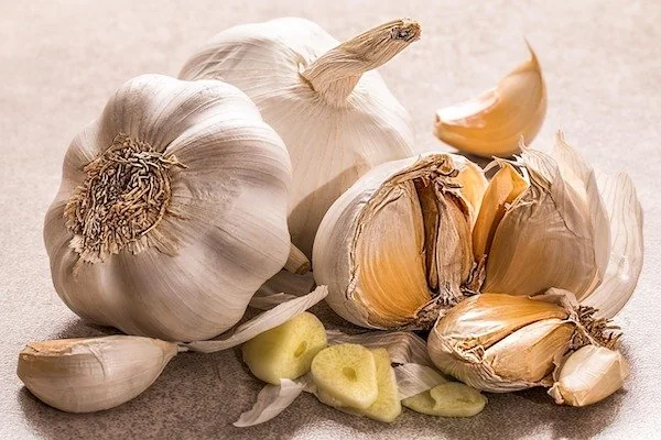 Ilustrasi bawang putih (Dok: Int)