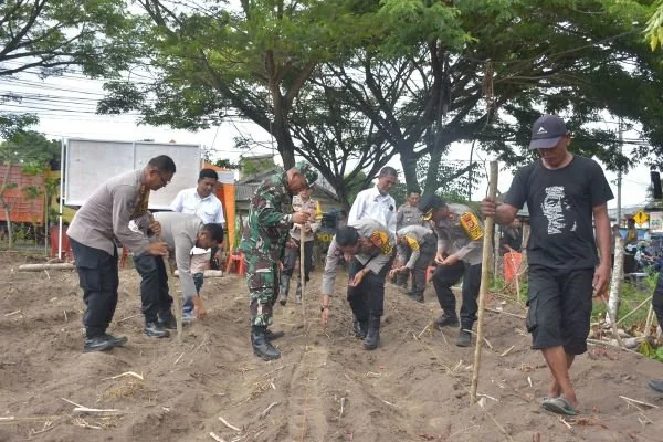 Kapolres Bulukumba Bersama Dandim 1411 meninjau lahan untuk pembibitan jagung (Dok : Ist).