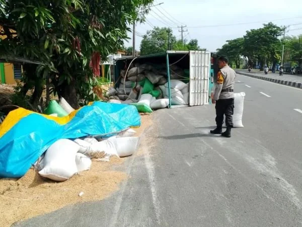 truk roda enam dengan membawa puluhan ton gabah terguling di Jalan Poros Maros-Pangkep.
