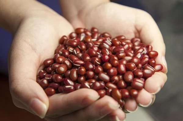 Kacang merah miliki manfaat untuk berat badan, jantung hingga ibu hamil (Dok: Int)