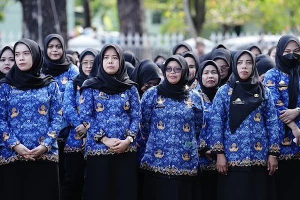 Pegawai Pemerintah dengan Perjanjian Kerja (PPPK) (dok. Ist)