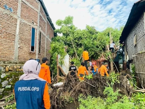 Sejumlah personil Pusdalops BPBD Jeneponto saat melakukan evakuasi pohon dilokasi kejadian (Dok : Ist).