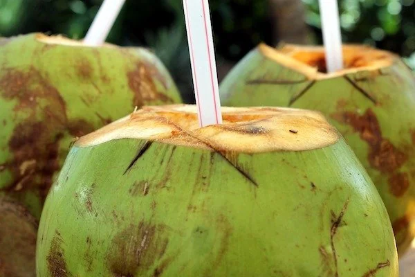 Ilustrasi air kelapa (Dok: Int)