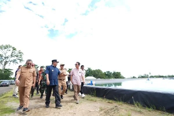 Penjabat Gubernur Sulawesi Barat Bahtiar Baharuddin saat berada di tambak udang di Pasangkayu (Dok : ist).
