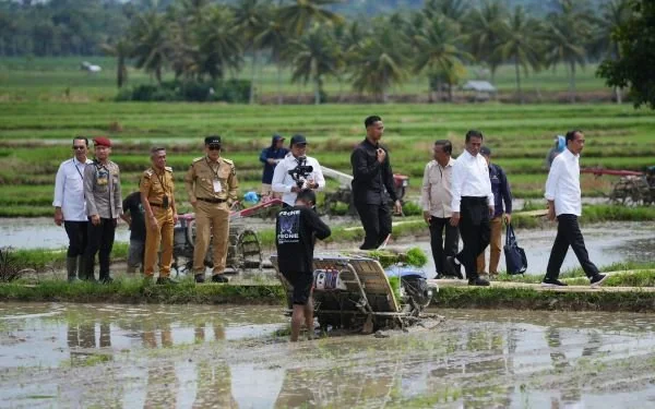 Presiden RI, Joko Widodo, Menteri Pertanian Andi Amran Sulaiman dan Pj Gubernur Sulsel, Prof Zudan Arif Fakrulloh saat kunjungan kerja di Bone (Dok : ist).