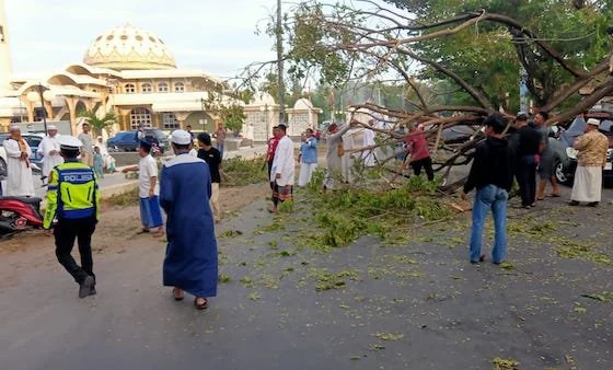 Petugas Lantas bersama Warga saat memcoba melakukan evakuasi pohon tumbang.(Foto/ist).