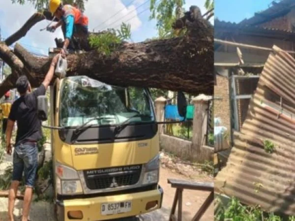 Pohon tumbang timpa mobil boks dan kios di Jalan Katimbang Makassar (Dok : Ist).