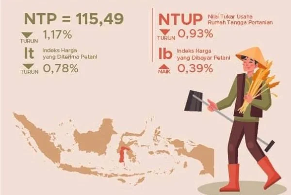 Infografis NTP di Sulsel. (Dok: Ist).