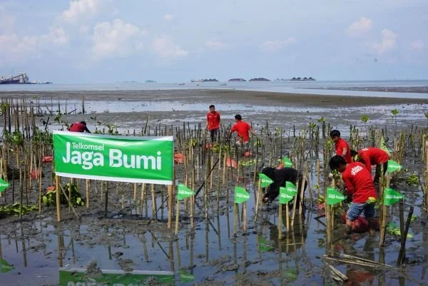 Sinergi Telkomsel dan AKADS menanam 1.000 bibit mangrove di pesisir Pantai Pangkep. Dok. Ist