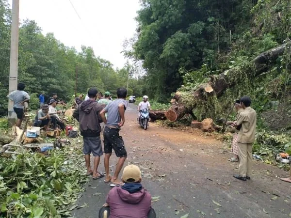 Masyarakat saat memotong pohon yang melintang di jalan (Dok : Aldy Djemmang).