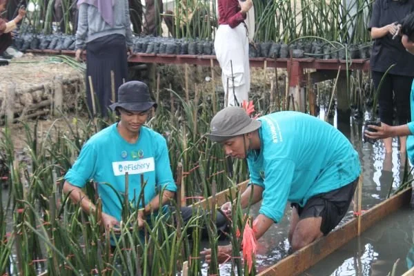 Hari Mangrove Sedunia eFishery menggelar giat edukasi lingkungan pesisir dan pembibitan 2.000 mangrove di Instalasi Tambak Silvofishery Marana, Maros *Dok : ist).