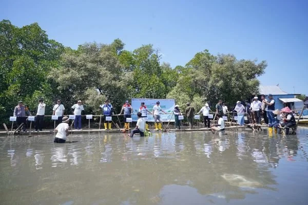 Pertamina Sulawesi dan Pemkot Makassar Kolaborasi Luncurkan Program Ecoeduwisata Mangrove (Dok : Ist).