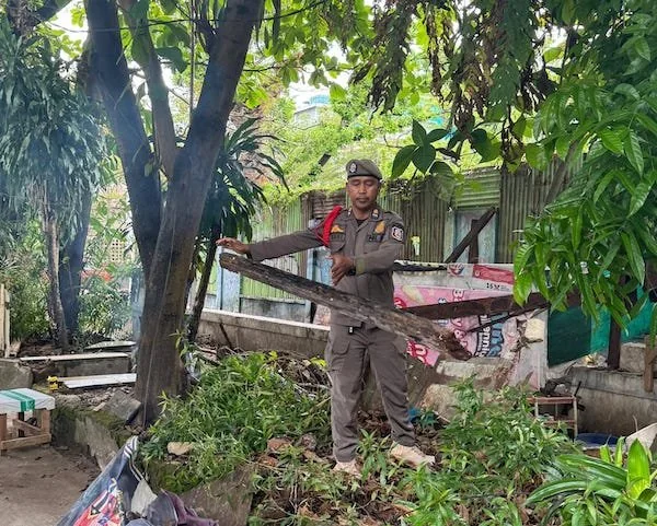 Penertiban Lapak PKL (Dok: Ist).
