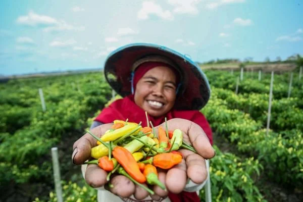 Petani yang mendapatkan bantuan dari Bank BRI (Dok : Ist).
