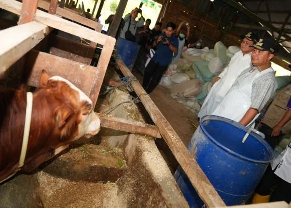 Pj Gubernur Sulsel, Bahtiar Baharuddin galakkan IB di Kabupaten Barru, Jumat (22/3).