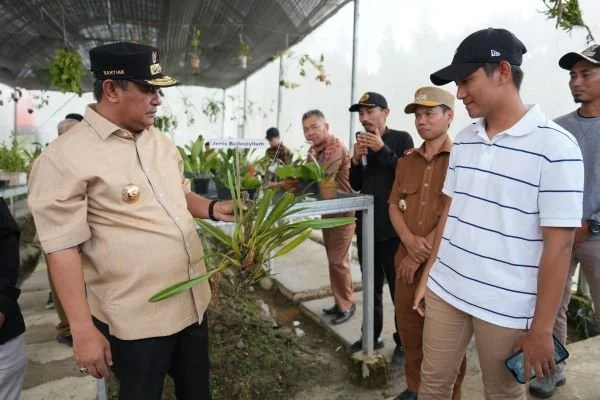 PJ Gubernur Sulbar saat berkunjung ke salah satu tempat budidaya anggrek di Mamasa (Dok : ist).