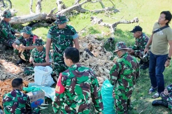 Dandim 1425/Jeneponto Letkol Inf Abdul Muthalib Tallasa bersama para prajurit dan warga setempat saat memimpin panen raya jagung kuning. (Dok: Ist)