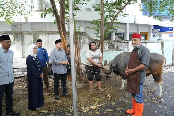 Wali Kota Makassar Munafri Arifuddin bersama Wakil Wali Kota Aliyah Mustika Ilham saat Membagikan Hewan Kurban, (Dok: Ist).