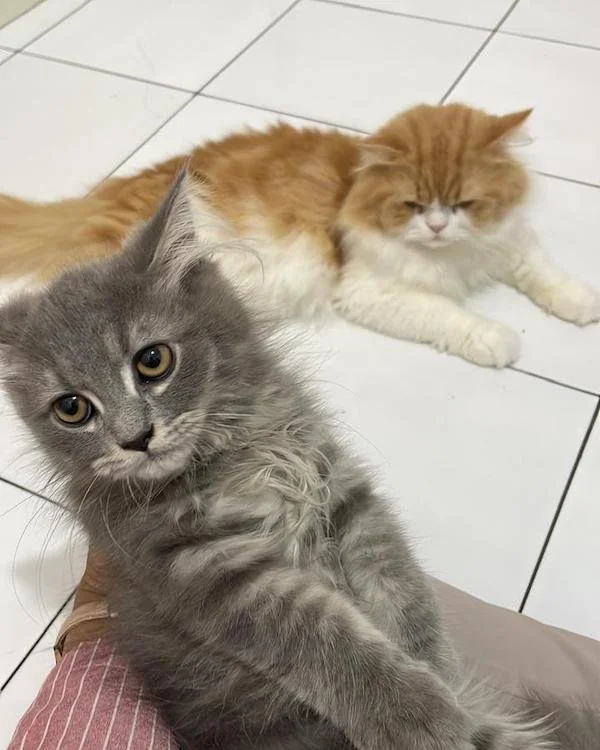 (Foto : Dok. Andini KabarMakassar).