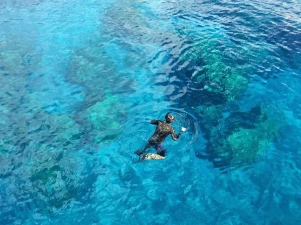 Ilustrasi snorkeling (Dok: Int)