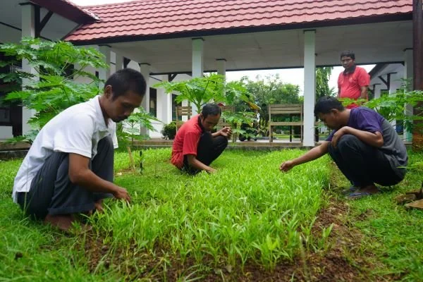 Melatih ODGJ mandiri dengab berkebun di greenhouse Sentra Wirajaya Kementerian Sosial, Jalan AP Pettarani.
