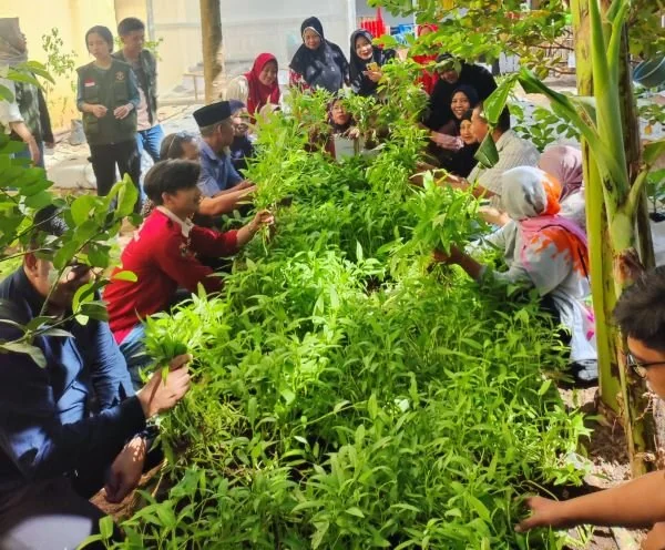 Mahatani Universitas Hasanuddin (Unhas) menerapkan pertanian di wilayah perkotaan dan berhasil melakukan panen perdana bersama Kelompok Wanita Tani (Dok : Ist).