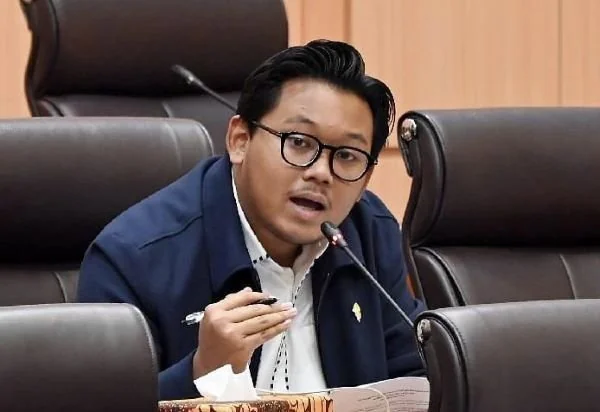 Anggota Komisi VII DPR RI sekaligus pegiat pemberdayaan usaha mikro, kecil, dan menengah (UMKM), Andhika Satya Wasistho (Dok: Ist).