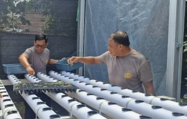 Kapolsek Biringkanaya AKP Andik Wahyu Cahyono saat Memimpin Penanaman Kebun Hidroponik (Dok: Ist).