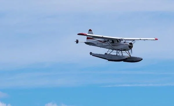 Ilustrasi seaplane mengudara (Dok: Int)