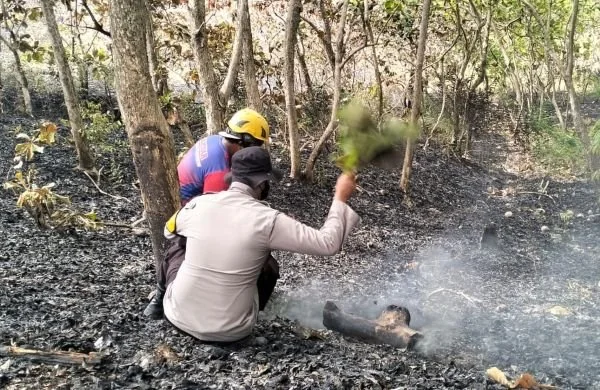 Proses pemadaman api yang dilakukan petugas gabungan dan terlihat lahan yang terbakar di desa Sumare. (Dok: Aldy)