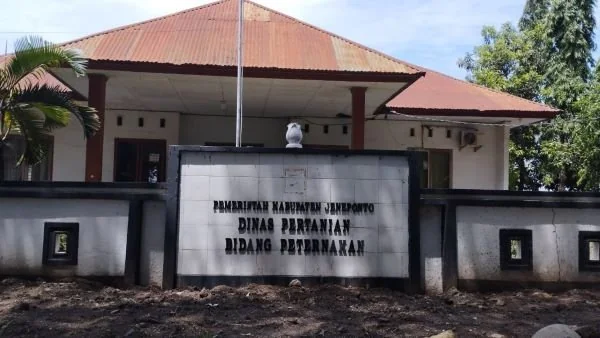 Kantor Dinas Pertanian Bidang Peternakan Jeneponto. (Dok: Ullah).
