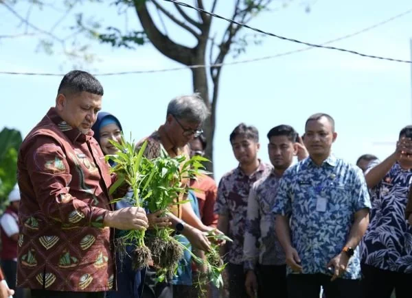 Wali Kota Makassar Munafri Arifuddin saat Meninjau Urban Farming (Dok: Ist).