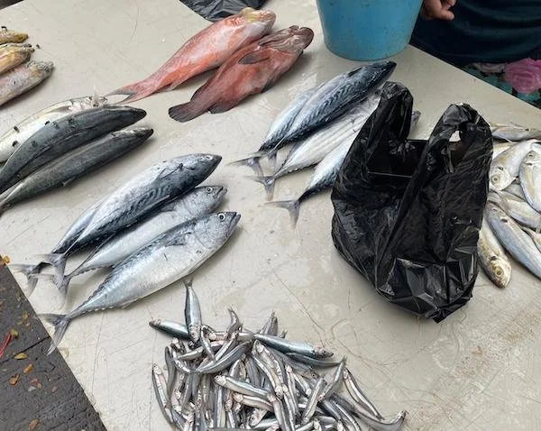 (Foto : Dok. Andini KabarMakassar).