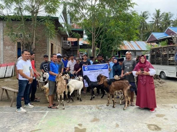Penyerahan bantuan hewan ternak dari Pemprov Sulbar (Dok: Ist).