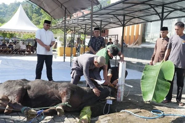 Kapolda Sulbar Irjen Pol Deriyan Jayamarta saat menyerahkan hewan Kurban. (Dok: Ist)