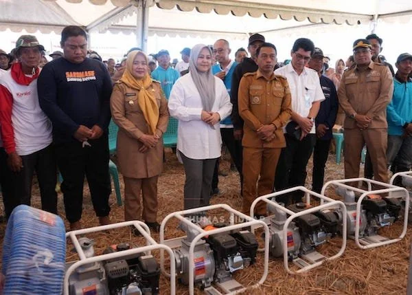 Suasana Panen raya di Desa Takkalasi, Kecamatan Maritengngae, Sidrap, (Dok: Ist).