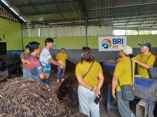 BRI Peduli Beri Pelatihan Diversifikasi dan Penguatan Mutu Produk Pupuk Kompos (Dok : Ist).