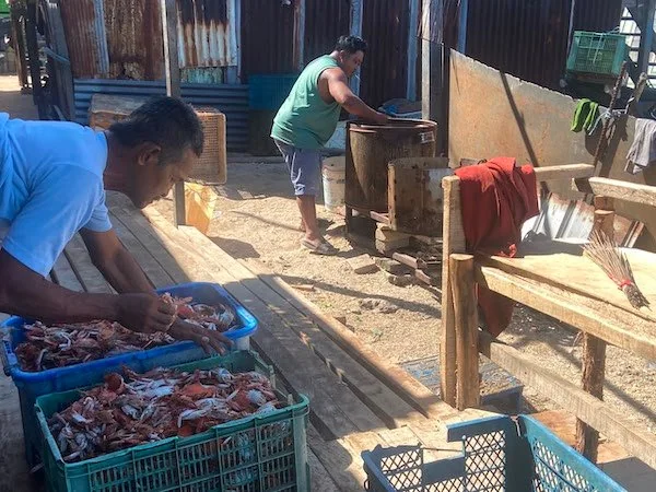 Rajungan jadi mata pencaharian masyarakat Kuri Caddi Maros (Dok: Nofi KabarMakassar)